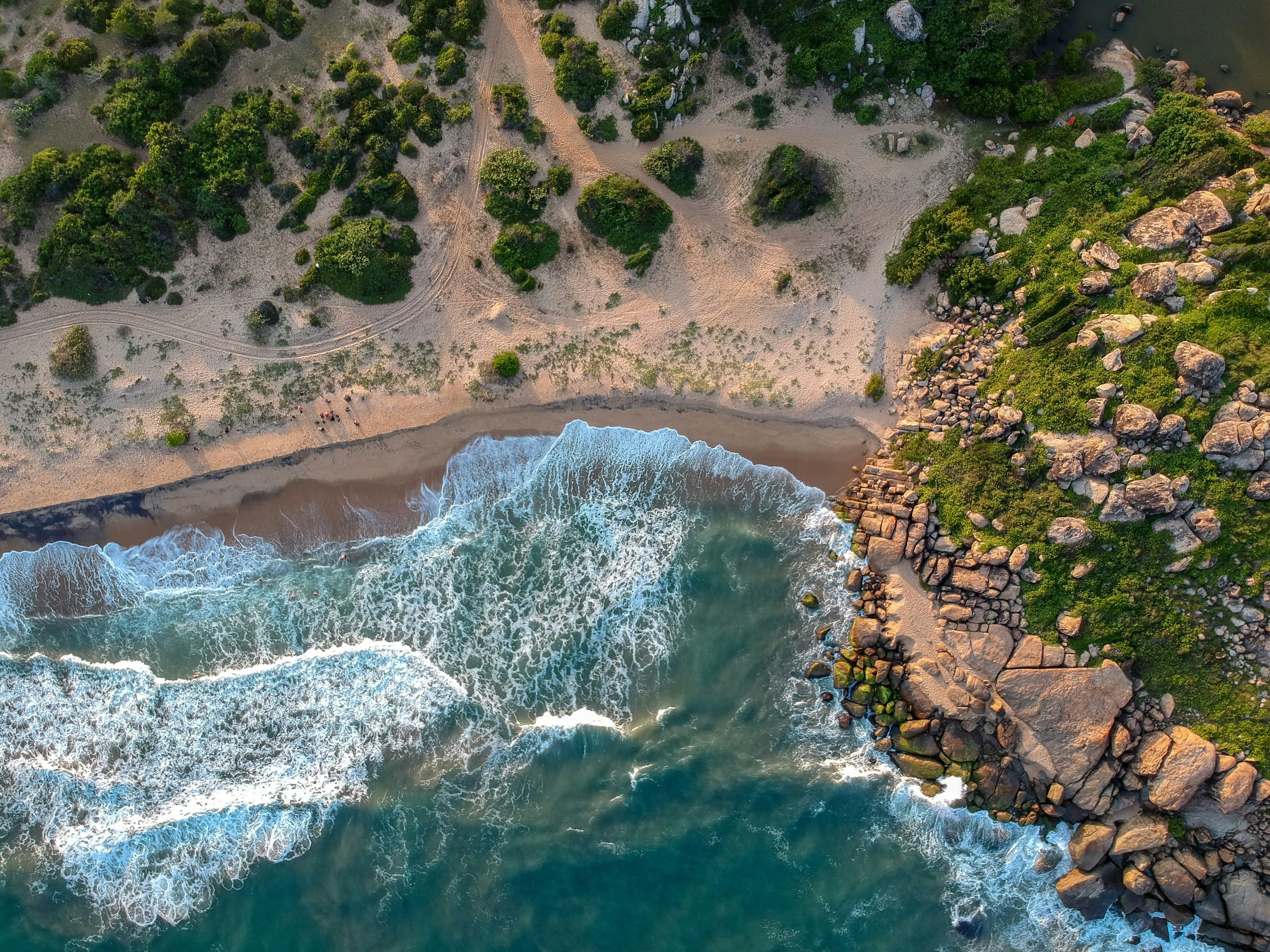 Sri Lankan beach