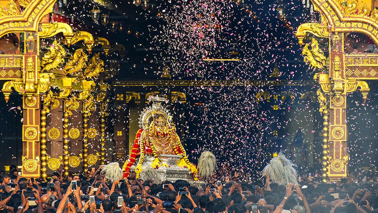 Nallur Kandaswamy Festival
