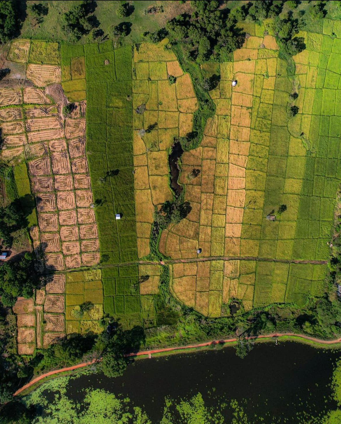 Enchanting Sri Lanka, journey from wetland to heritage