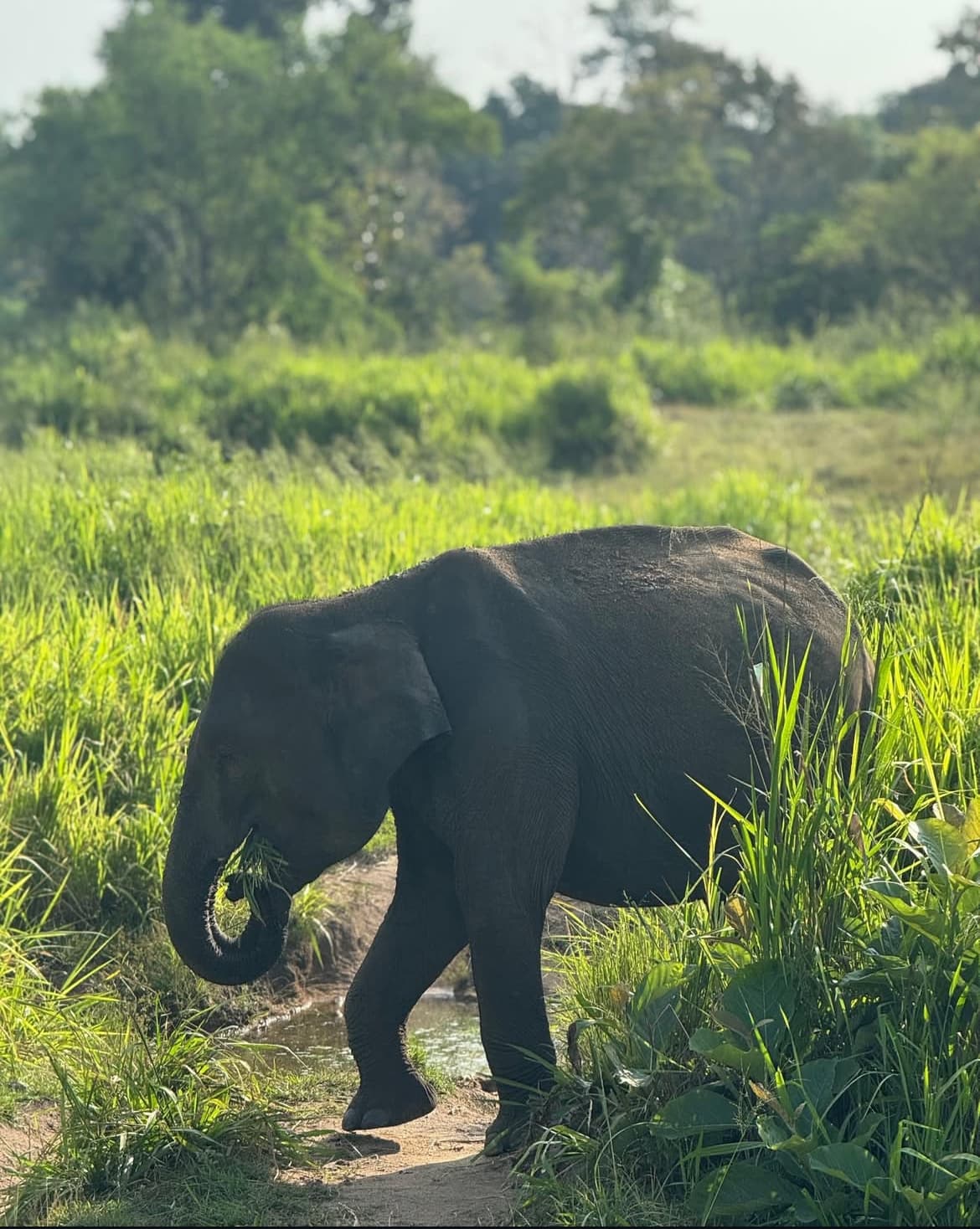 From Ancient Capitals to Coastal Bliss!