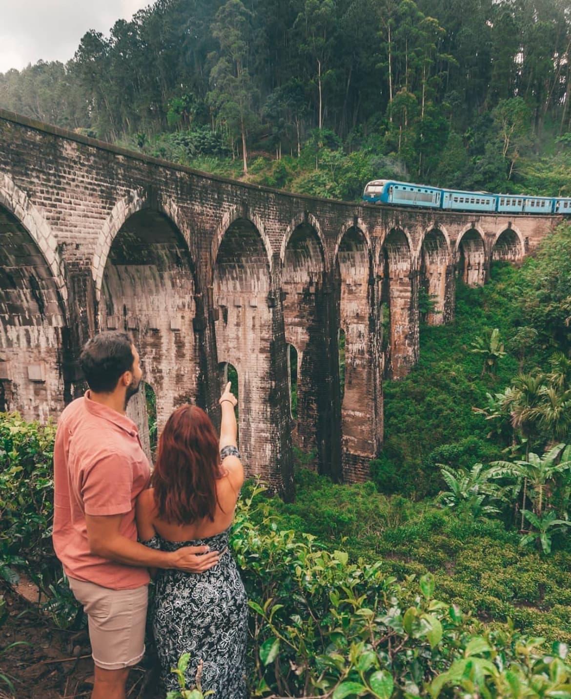 Ancient Heritage, Misty Mountains and Big Cat Safaris